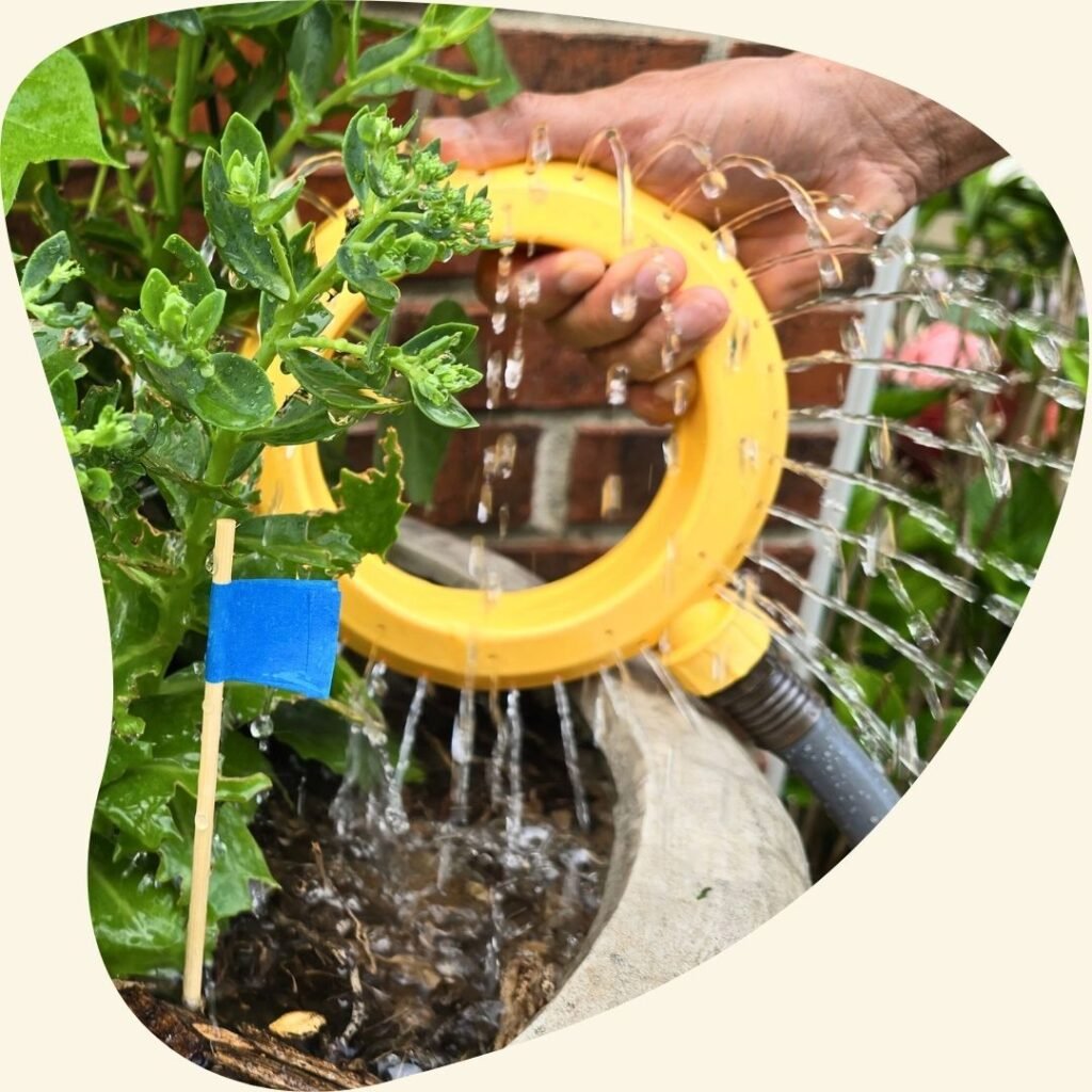 A hand holding a yellow color, round watering sprinklers attached to hose, with water pouring out of it onto plants.